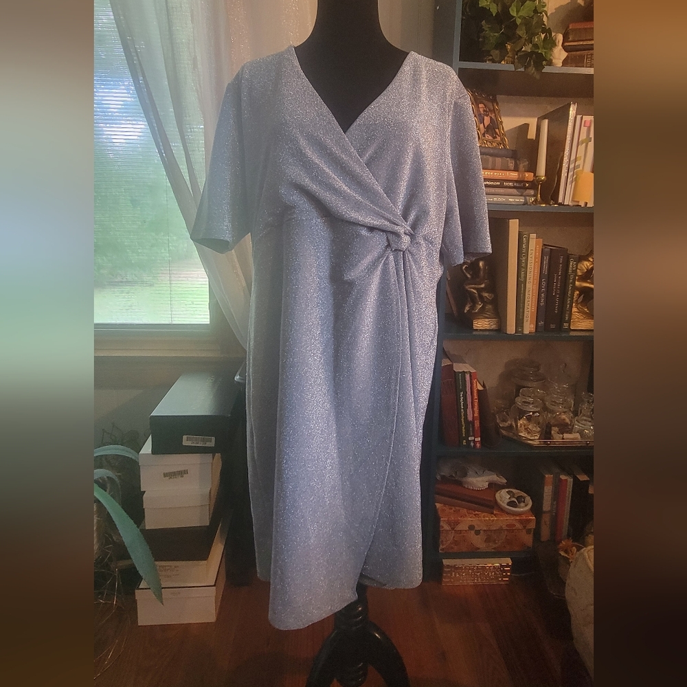 Serra XL short sleeve sparkly silver dress